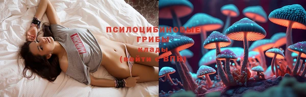 spice Каменногорск