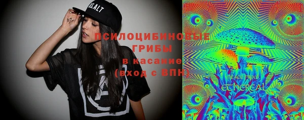 mdma Каменка