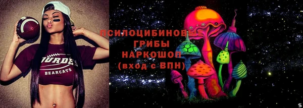 spice Каменногорск